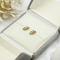 5 Pairs Per Set Gold Earrings Jewelry Shiny Crystals 316 Stainless Steel Bar